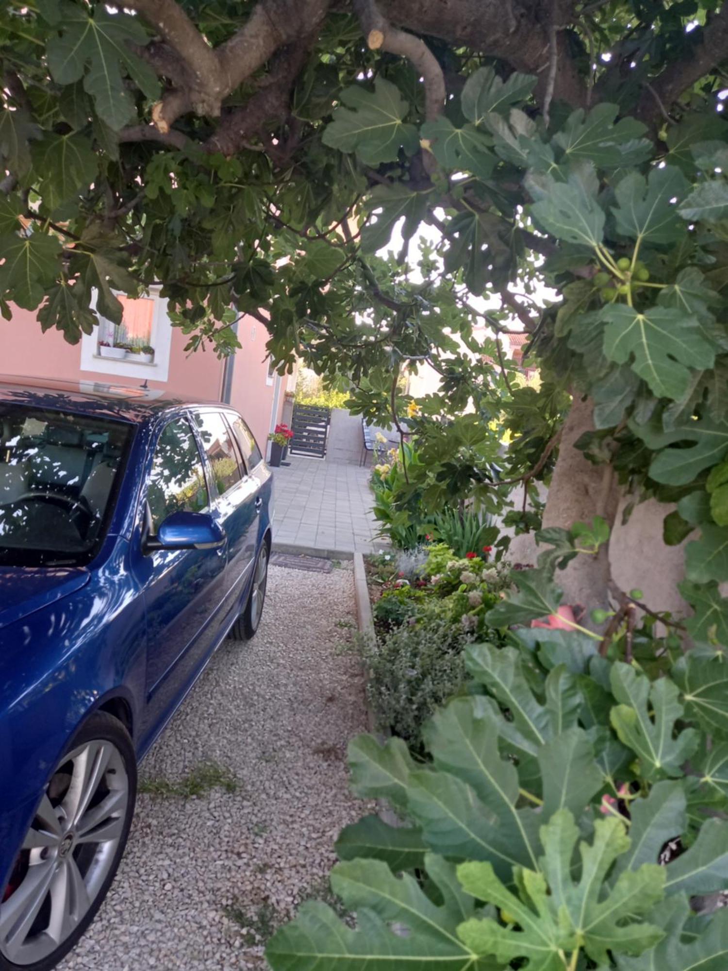 Apartmán Dani Zadar Pokoj fotografie