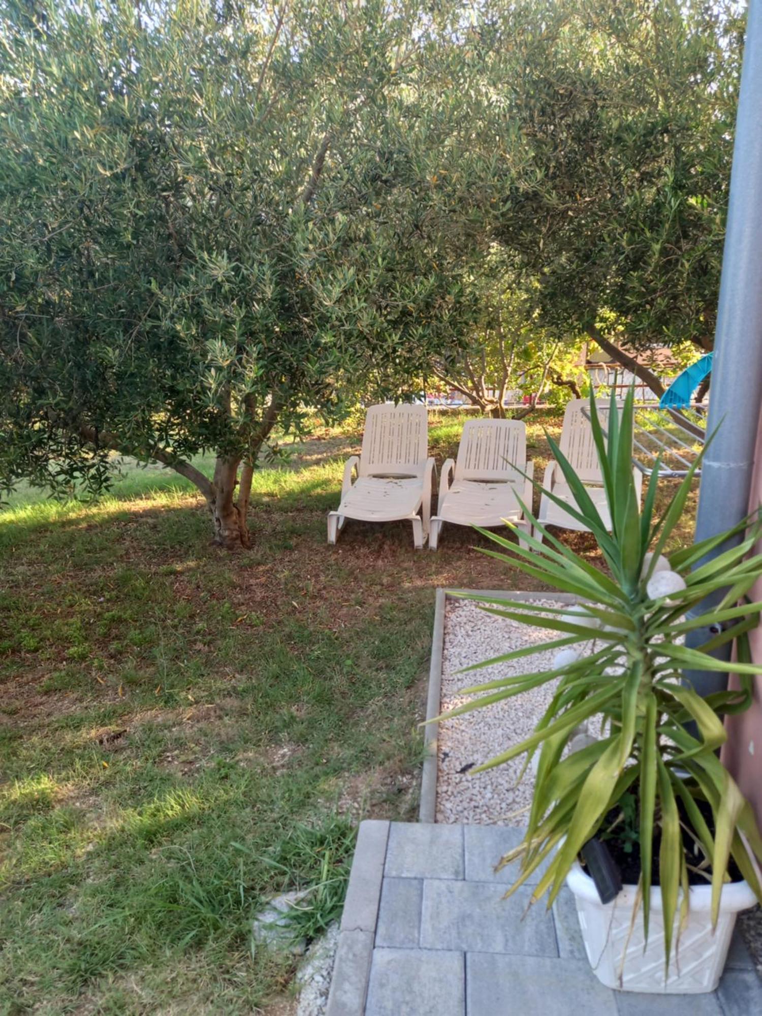 Apartmán Dani Zadar Pokoj fotografie