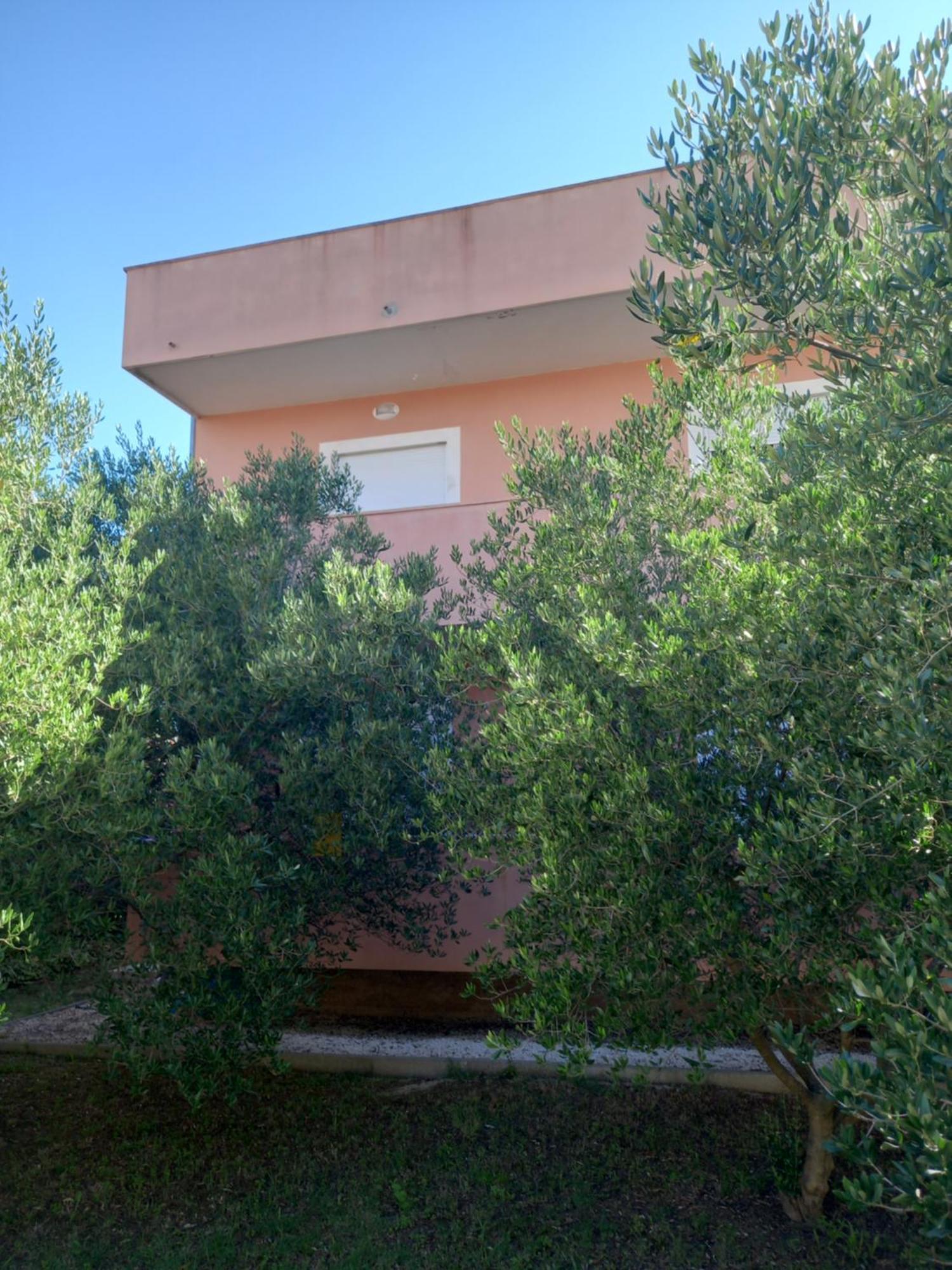 Apartmán Dani Zadar Exteriér fotografie