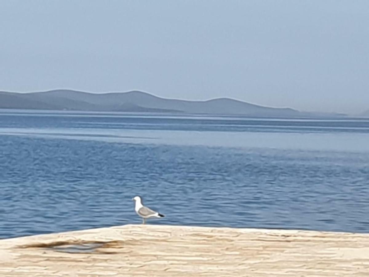 Apartmán Dani Zadar Exteriér fotografie